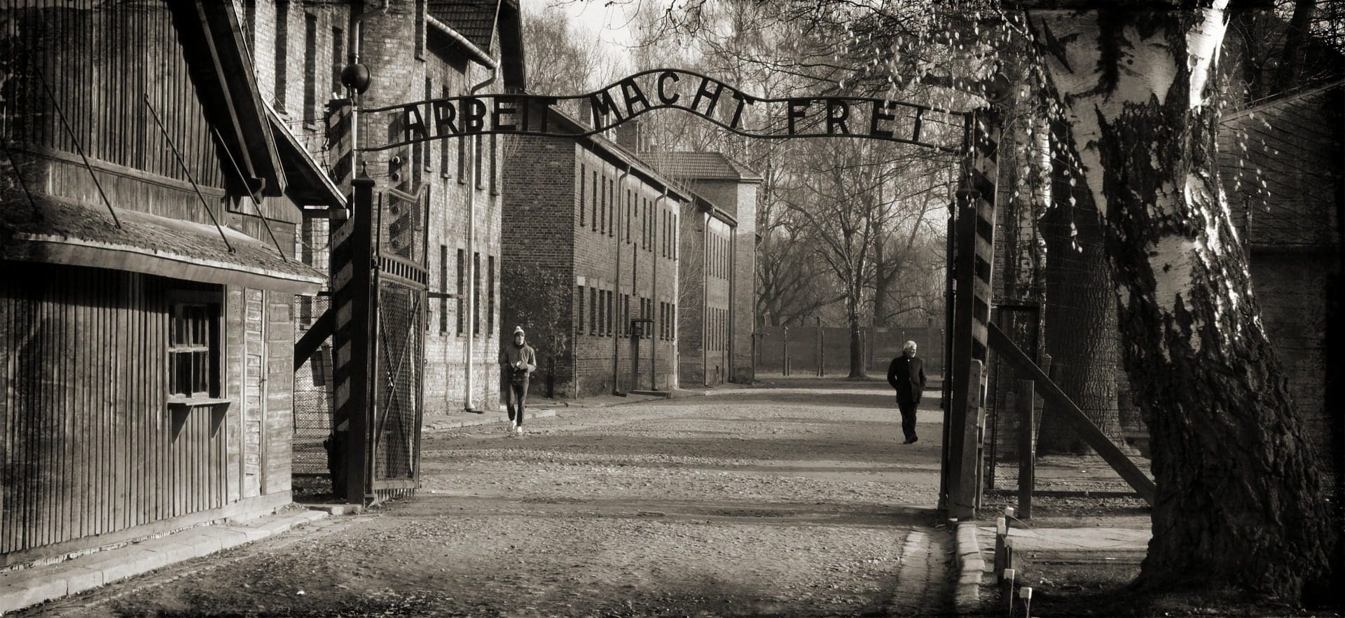 “As pessoas passeiam em Auschwitz como se estivessem na Disneylândia”