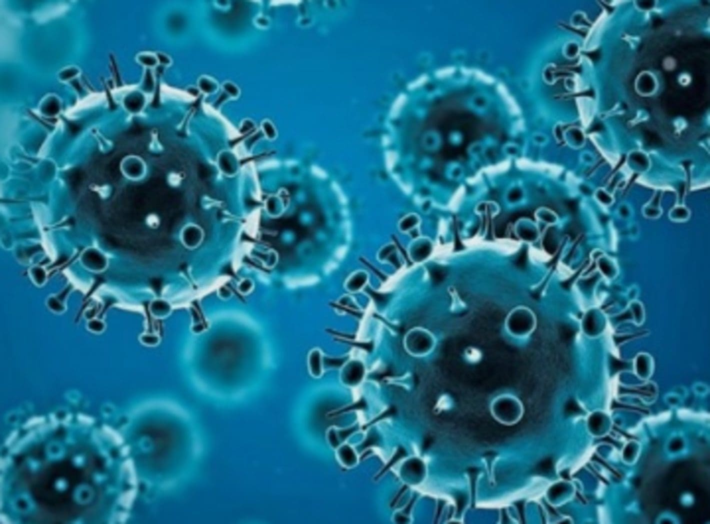 Covid-19: Origens do vírus continuam um mistério