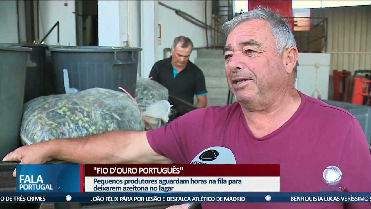 "Fio d'Ouro Português"
