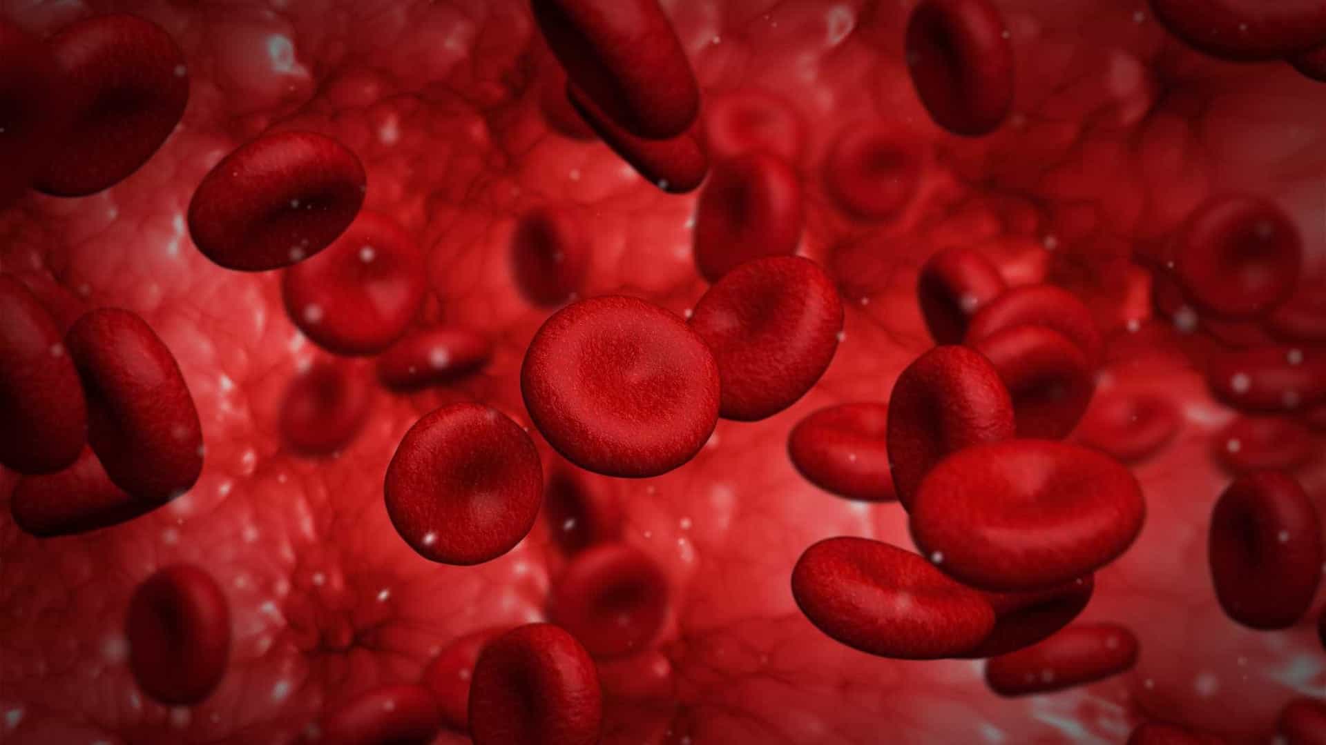 Glóbulos vermelhos ajudam a prever risco de morte e enfartes