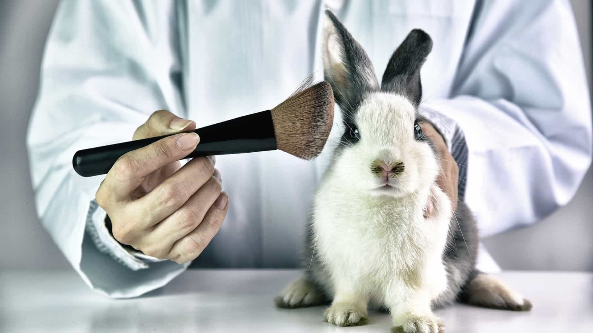 Suíça quer acabar com testagem em animais