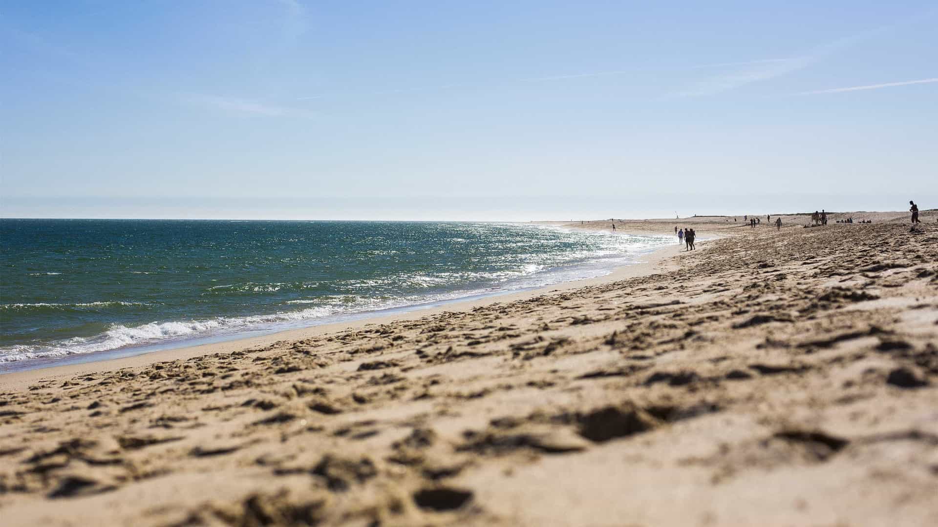 58 praias portuguesas têm 'Zero Poluição'