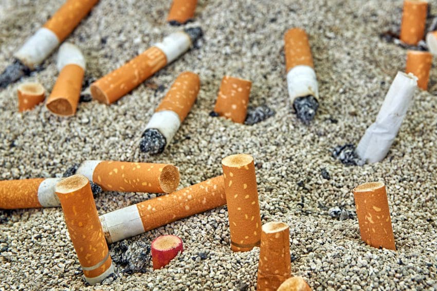 OMS alerta para impacto “desastroso” da indústria do tabaco no meio ambiente
