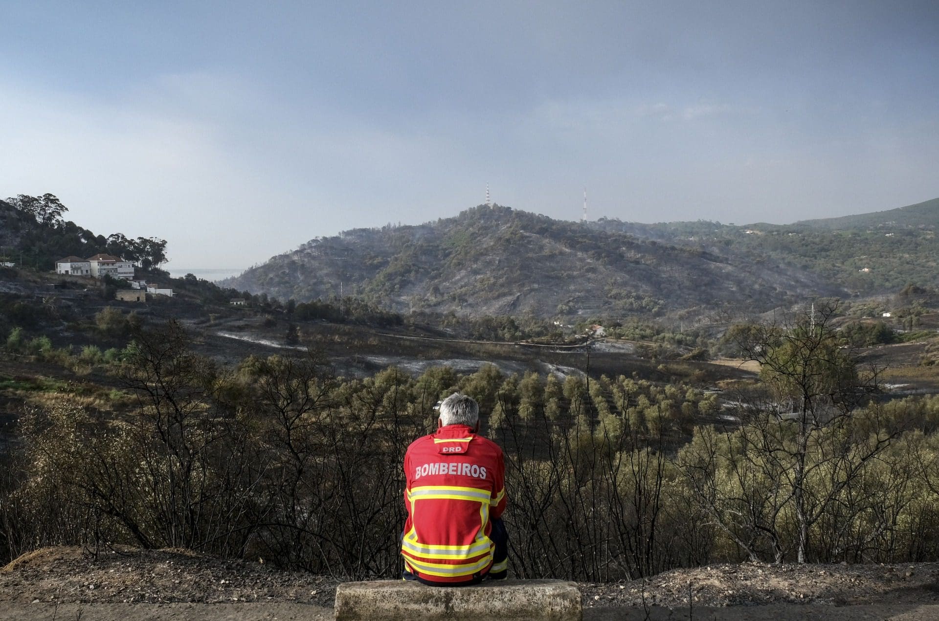 Incêndios: Portugal já registou mais de 7.000 hectares de área ardida em 2023