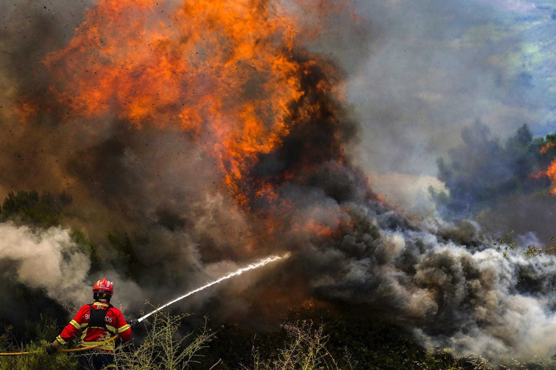 Incêndios: Fogo posto na origem de um quarto dos fogos registados este ano