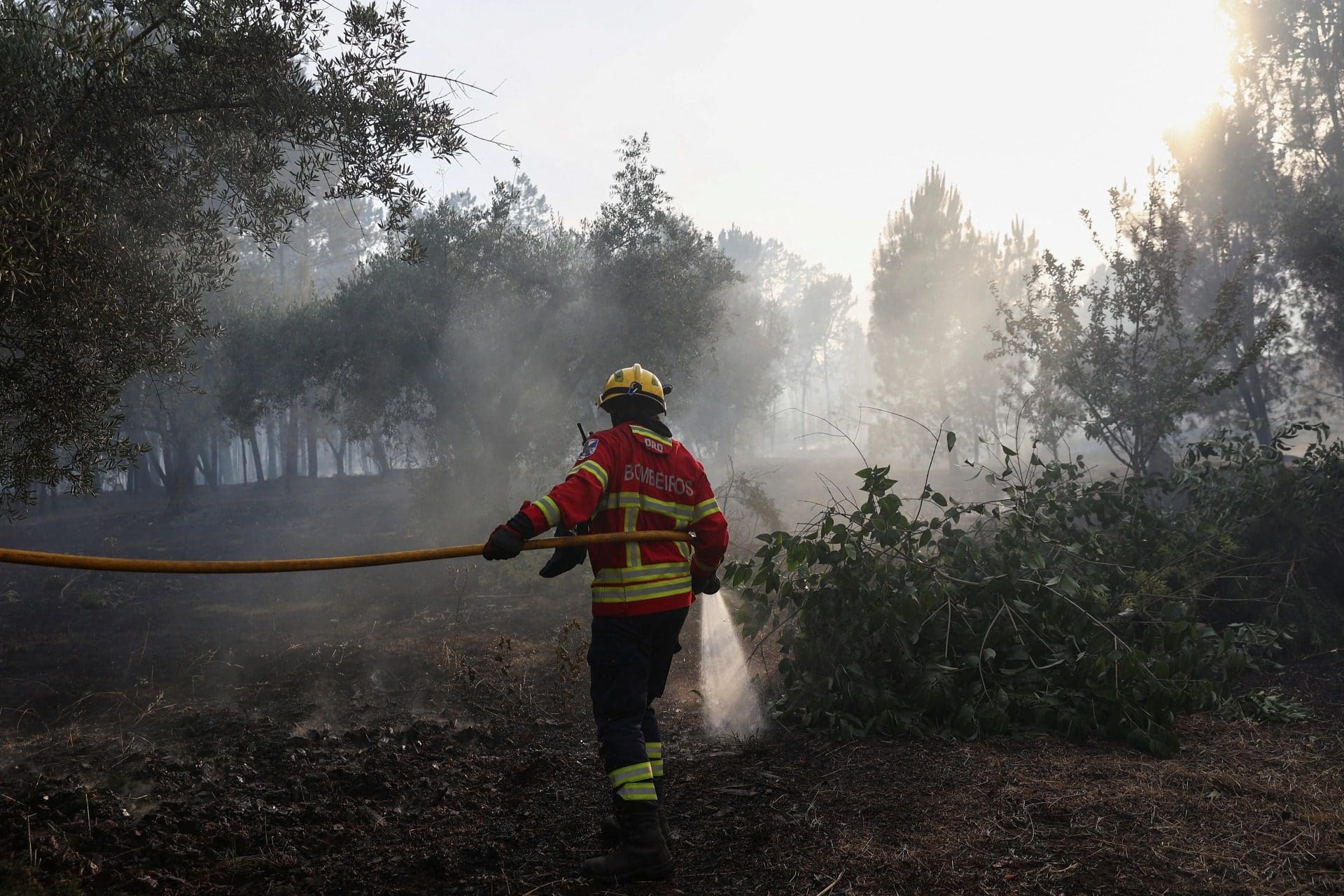 Mais de mil operacionais combatem incêndios em curso