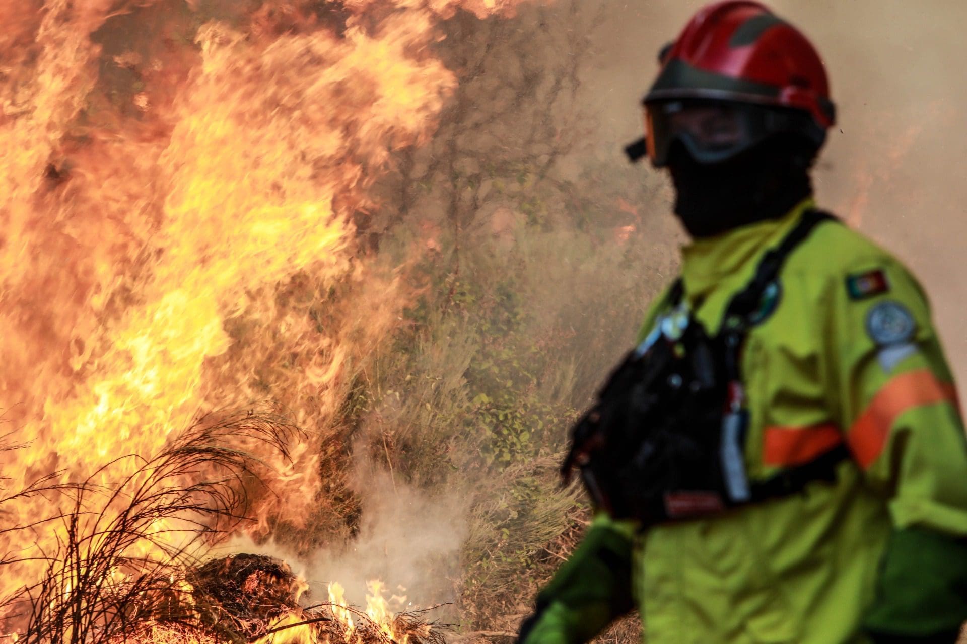 Operacionais combatem cerca de 50 incêndios em Portugal