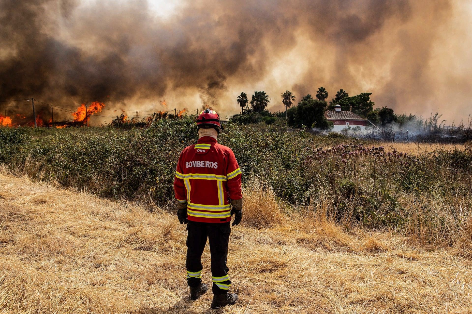 Dezanove concelhos de quatro distritos em perigo máximo de incêndio