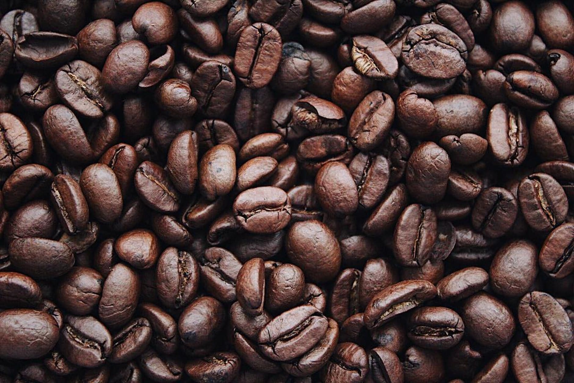 Conheça os benefícios do café