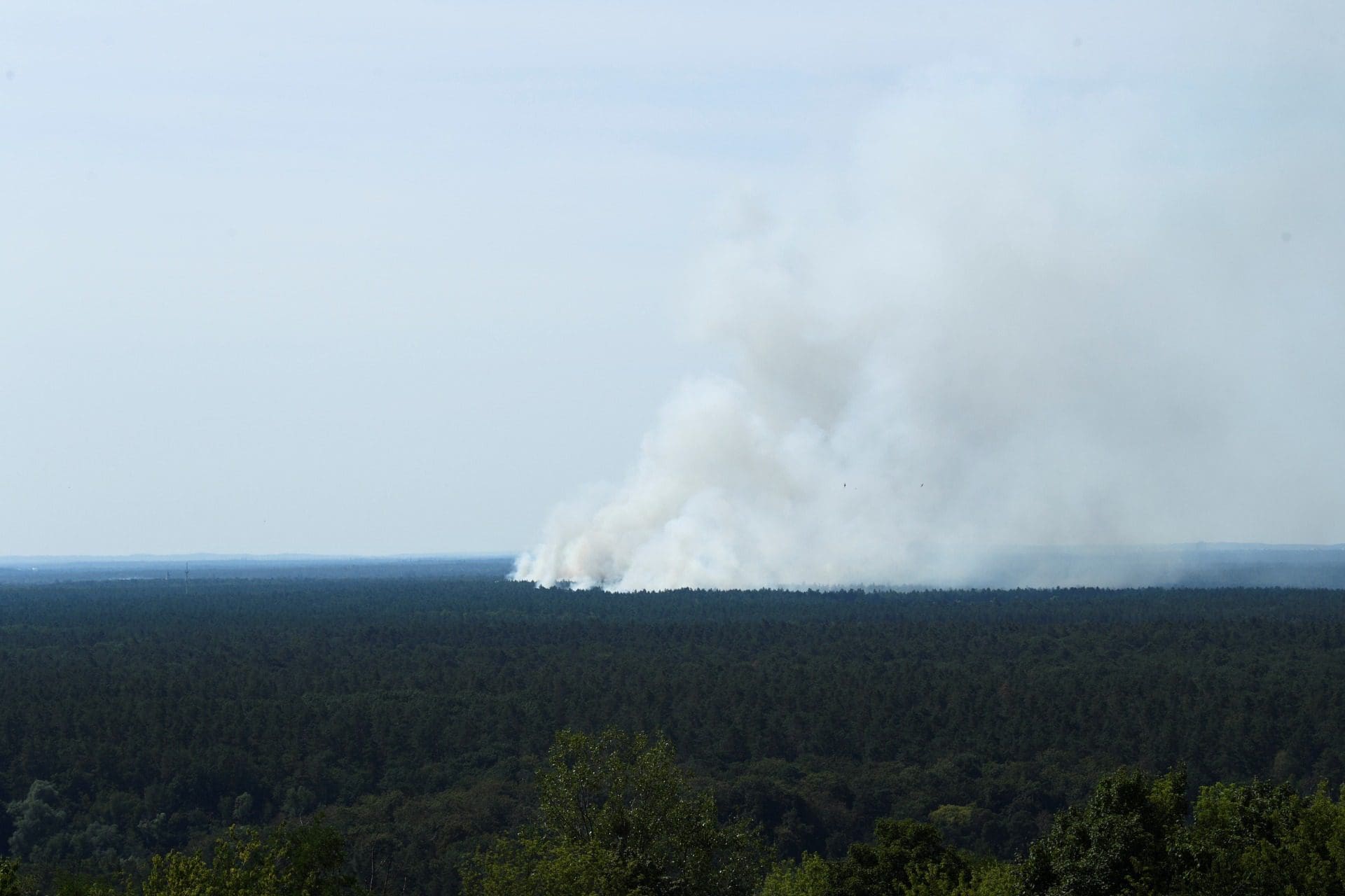 Incêndio consome maior floresta de Berlim