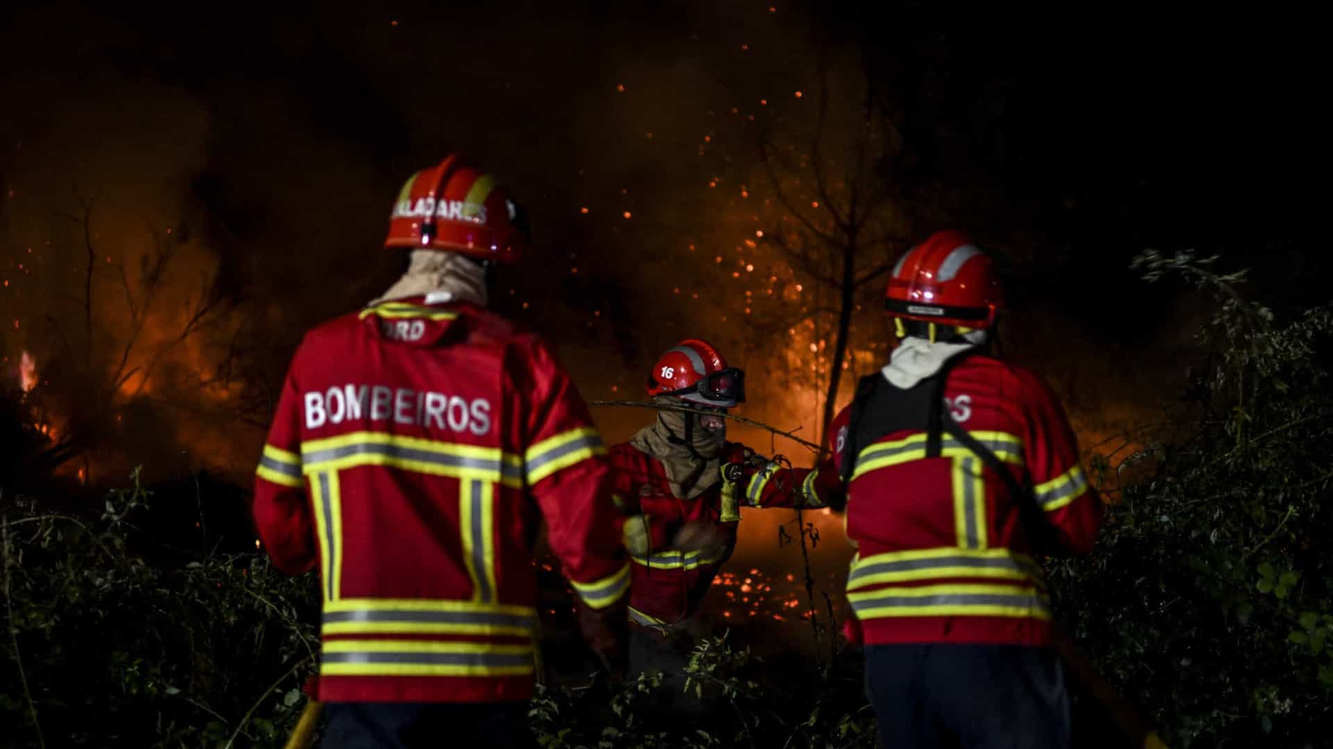 Portugal era oitavo da UE com mais bombeiros profissionais em 2021
