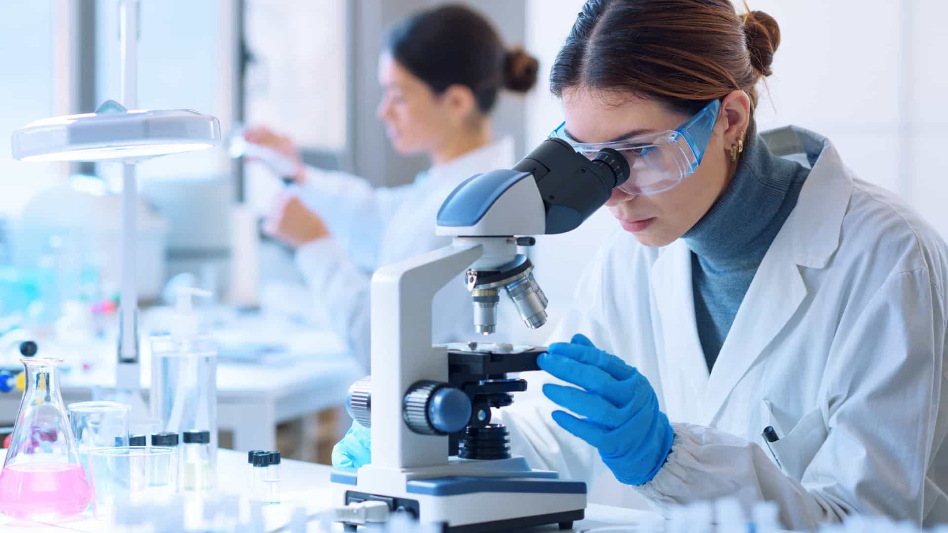 Governo quer até 2027 metade das bolsas de doutoramento para cientistas em empresas