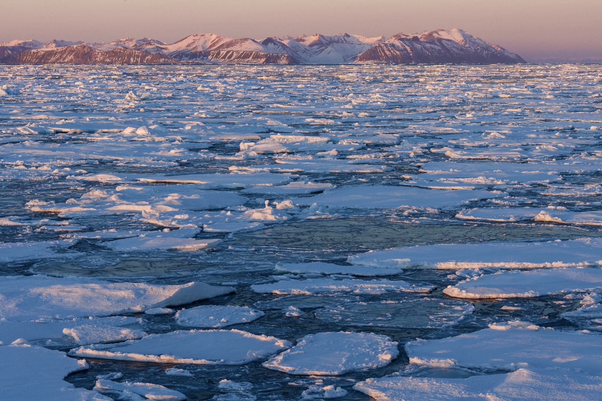 Clima: Oceano Ártico poderá ficar sem gelo no verão a partir de 2030