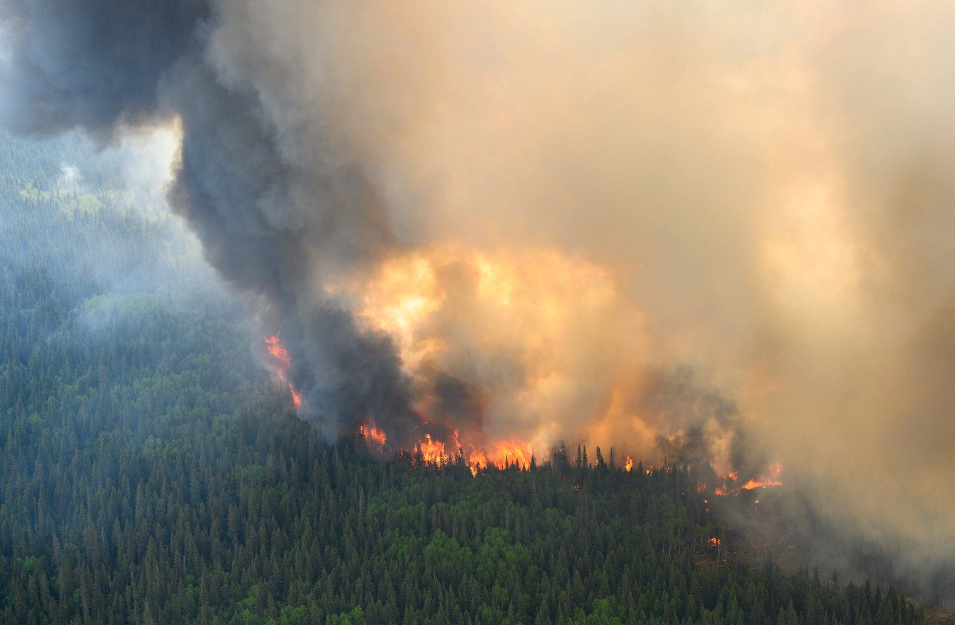Incêndios: Efeitos dos fogos do Canadá devem chegar a Portugal a partir de domingo
