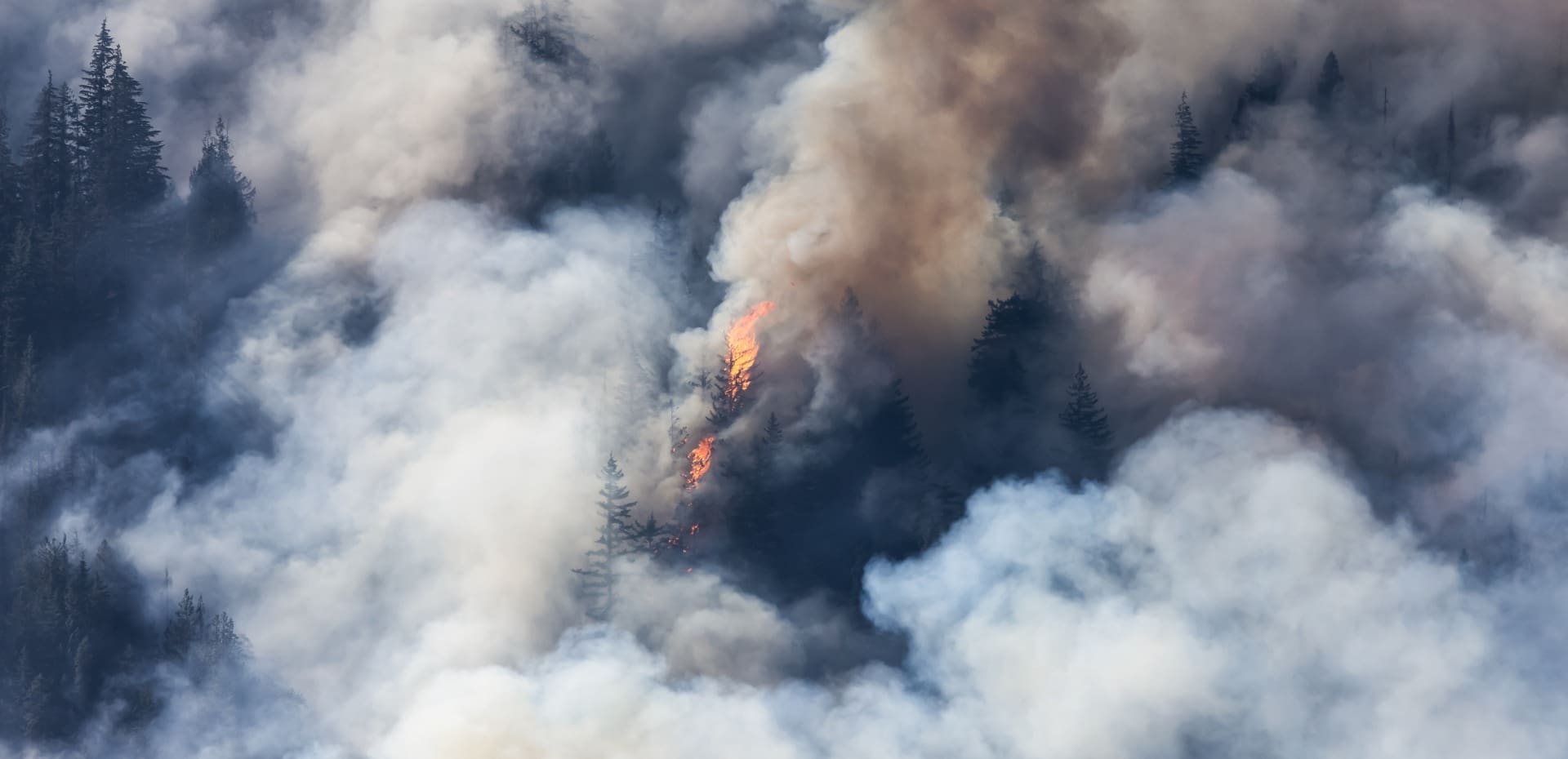 Avião de combate aos fogos cai na Grécia 