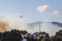 Incêndio: Evacuada localidade de Zambujeiro no concelho de Cascais