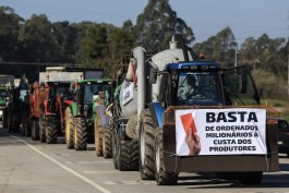 vila real agricultores exigem venda dos produtos agricolas a preco justo