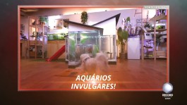 Aquarios Invulgares T2 E20 Promo