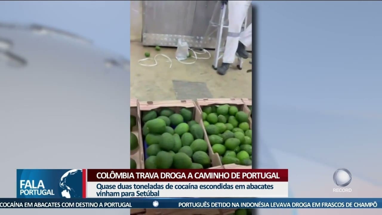 Colombia Trava Droga A Caminho De Portugal